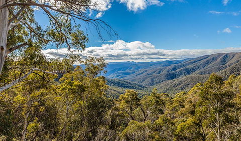 Wallace Creek Lookout - Accommodation Port Macquarie 2