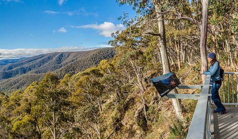 Wallace Creek Lookout - Accommodation Port Macquarie 3