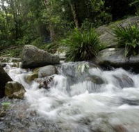 Washpool National Park - Accommodation Port Macquarie