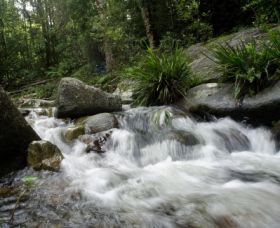 Washpool National Park - Accommodation Port Macquarie 0