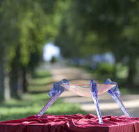 Lillico Glass Studio - Accommodation Port Macquarie