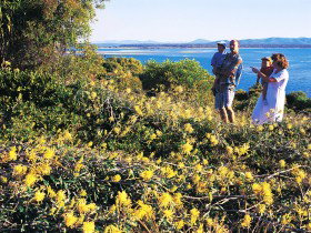 Joseph Banks Conservation Park - Accommodation Port Macquarie 0