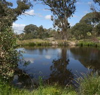 Cooleman Ridge - Accommodation Port Macquarie
