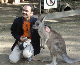 Activity Tours Australia - Accommodation Port Macquarie 3