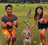 Runaway Tours - Accommodation Port Macquarie