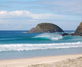 Surfaris Surf Camp - Accommodation Port Macquarie 4