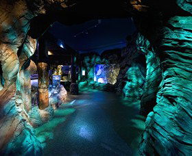 SEA LIFE Sydney Aquarium - Accommodation Port Macquarie 3