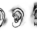 DAB LAB Research Gallery - Accommodation Port Macquarie