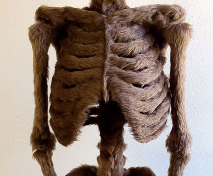 Galleryeight - Accommodation Port Macquarie 2