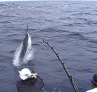 Amokura Charters - Accommodation Port Macquarie