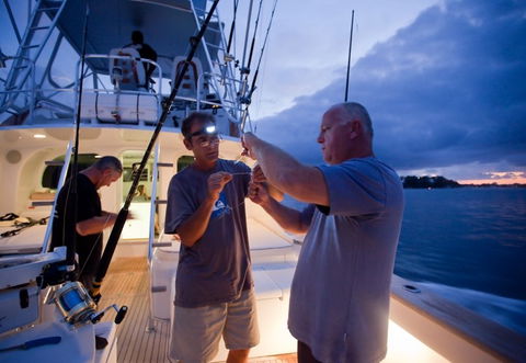 Amokura Charters - Accommodation Port Macquarie 1