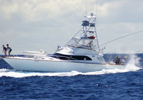 Amokura Charters - Accommodation Port Macquarie 2