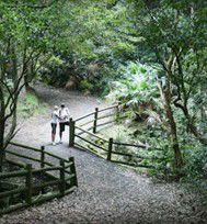 Blackbutt Reserve - Accommodation Port Macquarie 3