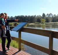 Hunter Wetlands Centre Australia - Accommodation Port Macquarie