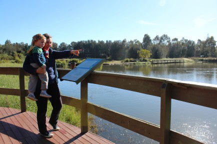 Hunter Wetlands Centre Australia - Accommodation Port Macquarie 0