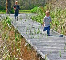 Hunter Wetlands Centre Australia - Accommodation Port Macquarie 1