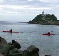 Newcastle Kayak Tours - Accommodation Port Macquarie