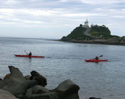 Newcastle Kayak Tours - Accommodation Port Macquarie 0