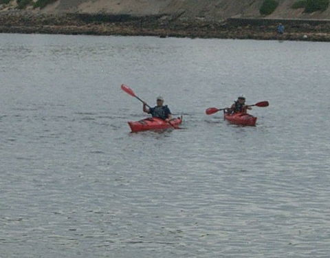 Newcastle Kayak Tours - Accommodation Port Macquarie 4
