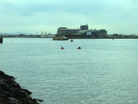 Newcastle Kayak Tours - Accommodation Port Macquarie 5