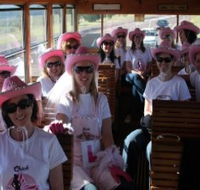 Newcastles Famous Tram - Accommodation Port Macquarie