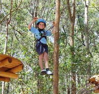 TreeTops Newcastle - Accommodation Port Macquarie