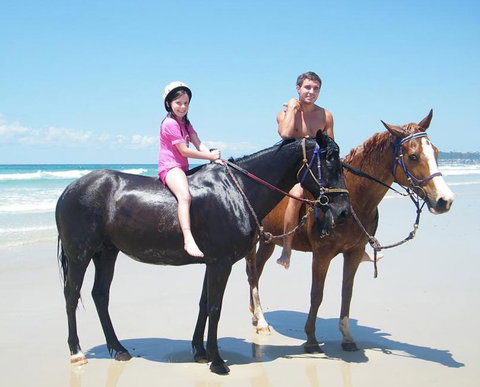 Pegasus Park Equestrian Centre - Accommodation Port Macquarie 1