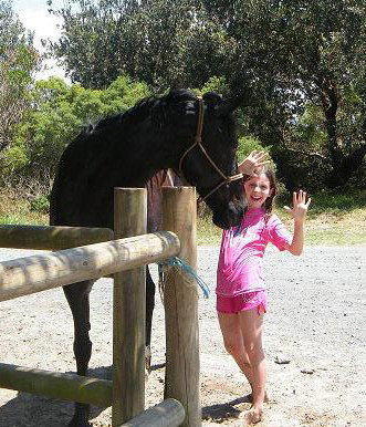 Pegasus Park Equestrian Centre - Accommodation Port Macquarie 3