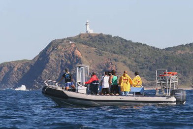 Byron Bay Dolphin Wildlife Tours - Accommodation Port Macquarie 1