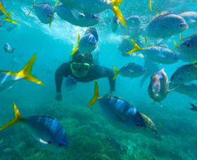 G Adventures - Accommodation Port Macquarie 0