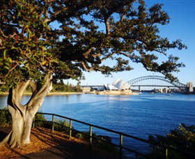 Royal Botanic Gardens And The Domain - Accommodation Port Macquarie 3