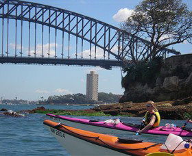 Natural Wanders - Accommodation Port Macquarie 3