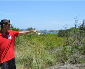 Kadoo Tours - Accommodation Port Macquarie 0