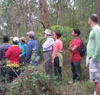 Boronia Tours - Accommodation Port Macquarie
