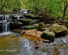 Australian Sightseeing And Photography Tours - Accommodation Port Macquarie 1