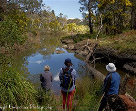 Australian Sightseeing And Photography Tours - Accommodation Port Macquarie 5