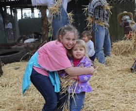 Golden Ridge Animal Farm - Accommodation Port Macquarie 2