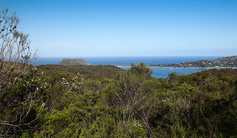Aboriginal Heritage Walk - Accommodation Port Macquarie 1