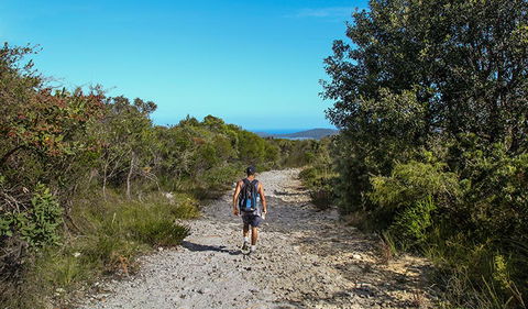 Aboriginal Heritage Walk - Accommodation Port Macquarie 3