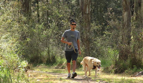 Second Ponds Creek Walk - Accommodation Port Macquarie 3