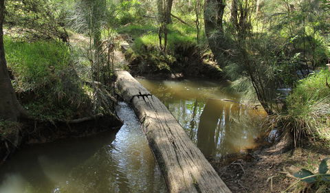 Second Ponds Creek Walk - Accommodation Port Macquarie 2