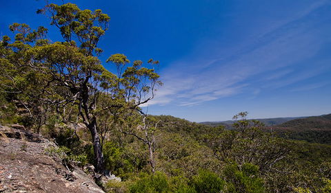 Marramarra National Park - Accommodation Port Macquarie 1