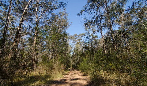 Scheyville Horse Riding Trails - Accommodation Port Macquarie 3