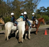 Darkes Forest Riding Ranch - Accommodation Port Macquarie