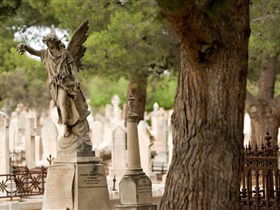 West Terrace Cemetery - Accommodation Port Macquarie 0