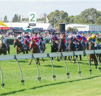 Morphettville Racecourse - Accommodation Port Macquarie