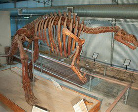 Flinders Discovery Centre - Accommodation Port Macquarie 1