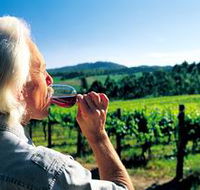 Ashton Hills Vineyard - Accommodation Port Macquarie