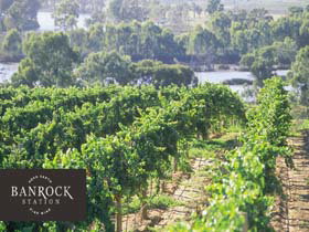 Banrock Station Wine And Wetland Centre - Accommodation Port Macquarie 0
