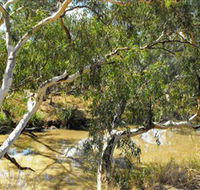 Quilberry Creek Fishing - Accommodation Port Macquarie